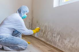 Best Comprehensive Air Testing for Mold Contaminants  in Red Bank, NJ