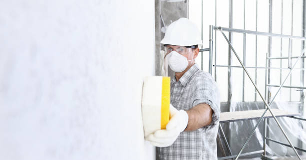 Best Industrial Mold Remediation  in Red Bank, NJ